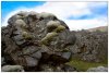 6/landmannalaugar  100 (Small).jpg